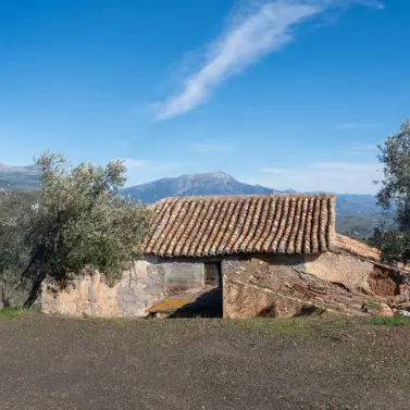 Sale of detached villa in Colmenar