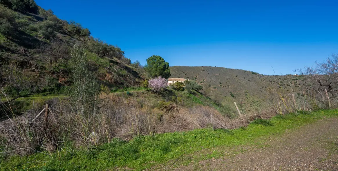 Продажа  отдельно стоящей виллы в Colmenar 12