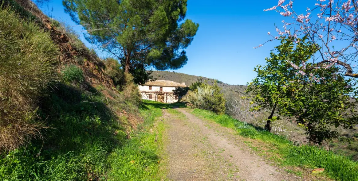 Продажа  отдельно стоящей виллы в Colmenar 13