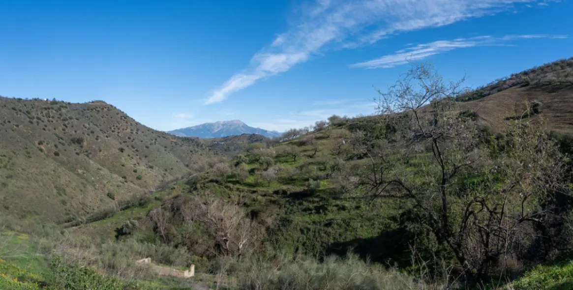 Продажа  отдельно стоящей виллы в Colmenar 20