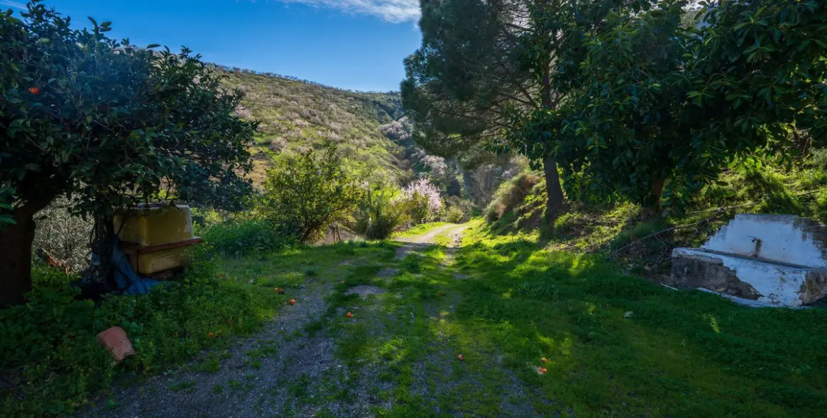 Продажа  отдельно стоящей виллы в Colmenar 21