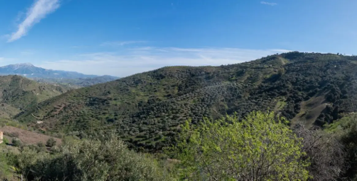 Продажа  отдельно стоящей виллы в Colmenar 24