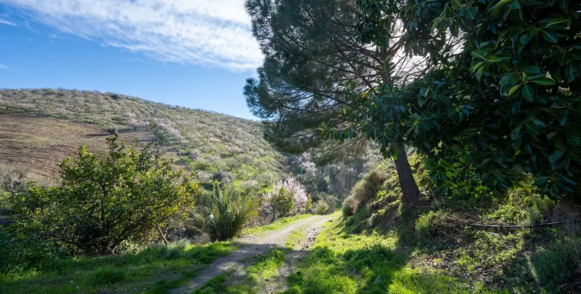 Продажа  отдельно стоящей виллы в Colmenar 27