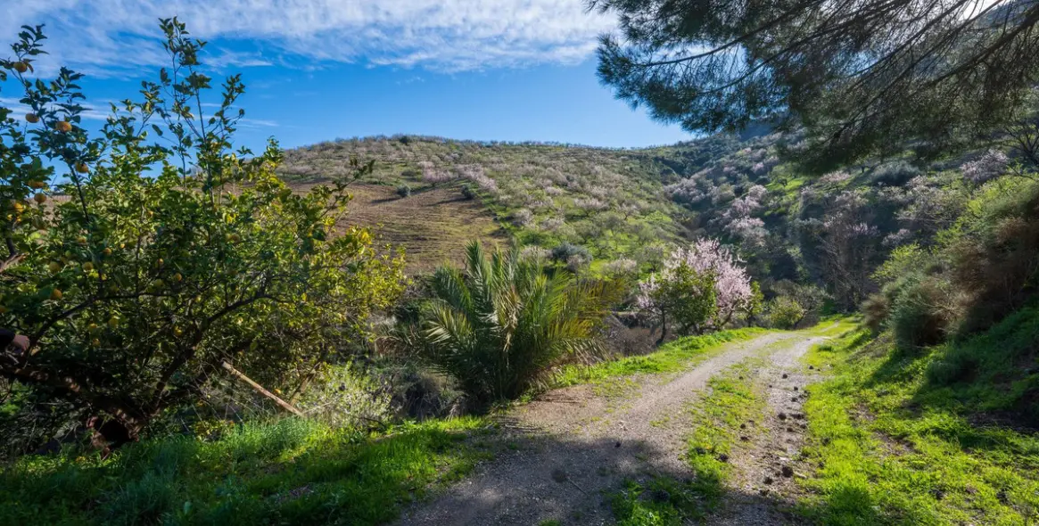 Продажа  отдельно стоящей виллы в Colmenar 28