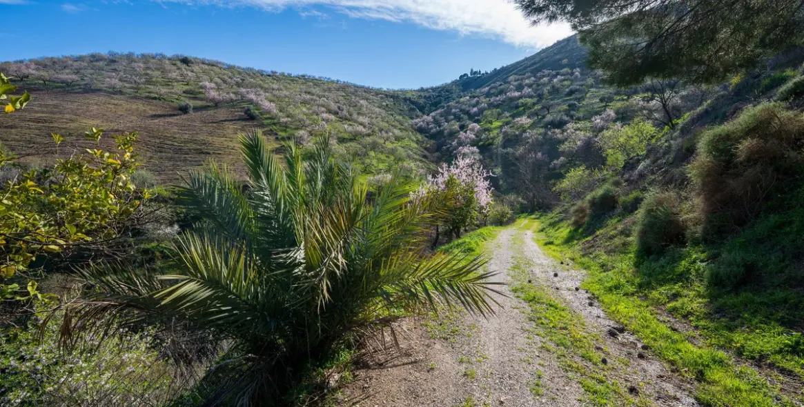 Продажа  отдельно стоящей виллы в Colmenar 29