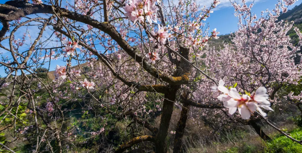 Продажа  отдельно стоящей виллы в Colmenar 30