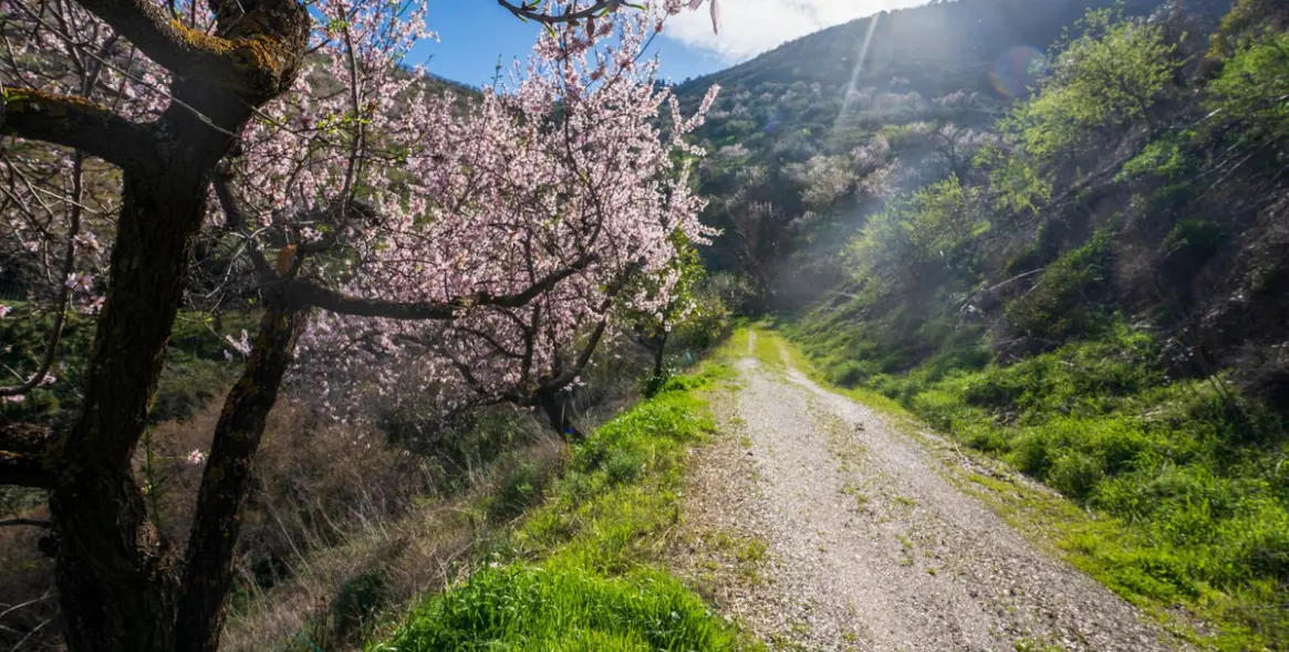 Продажа  отдельно стоящей виллы в Colmenar 31