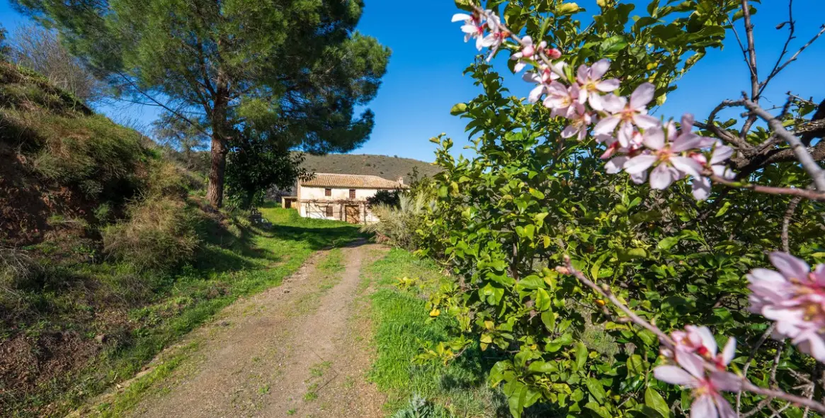 Продажа  отдельно стоящей виллы в Colmenar 32