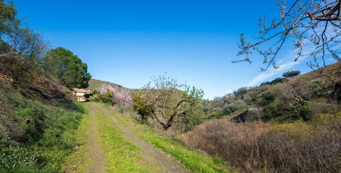 Продажа  отдельно стоящей виллы в Colmenar 33