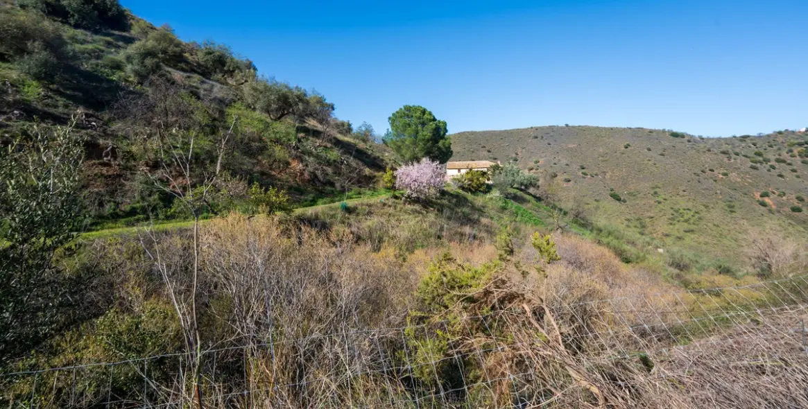 Продажа  отдельно стоящей виллы в Colmenar 34