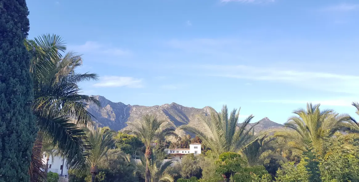 Продажа  отдельно стоящей виллы в Sierra Blanca 33