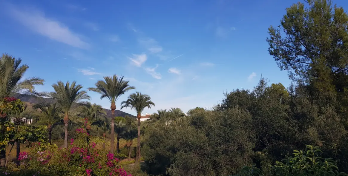 Продажа  отдельно стоящей виллы в Sierra Blanca 34