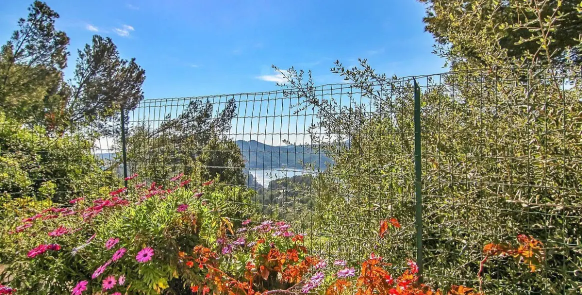 Sale of ground floor apartment in Istán 4