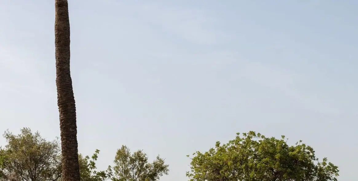 Sale of ground floor apartment in Istán 21