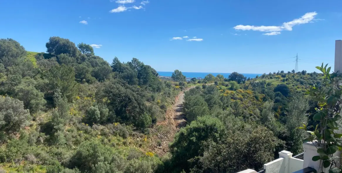 Sale of ground floor apartment in Marbella 1