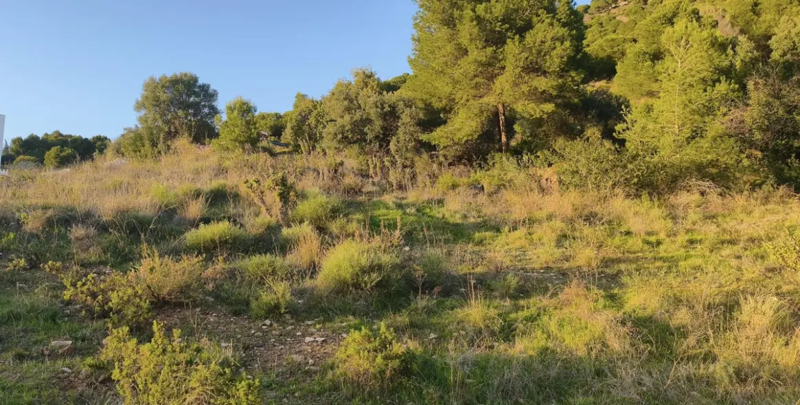 Продажа  жилого участка в Mijas 7