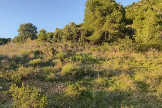 Image 6 thumb