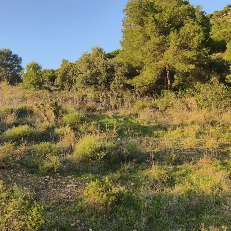 Venta de parcela residencial en Mijas