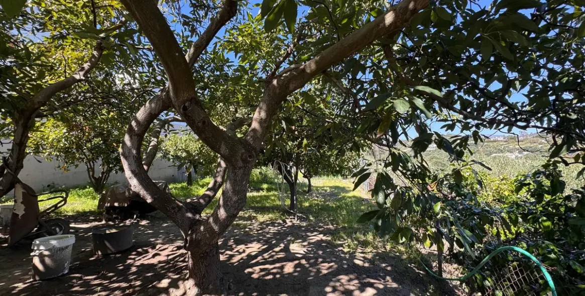 Продажа  отдельно стоящей виллы в Estepona 33