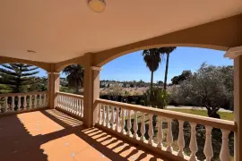 Image 8 thumb