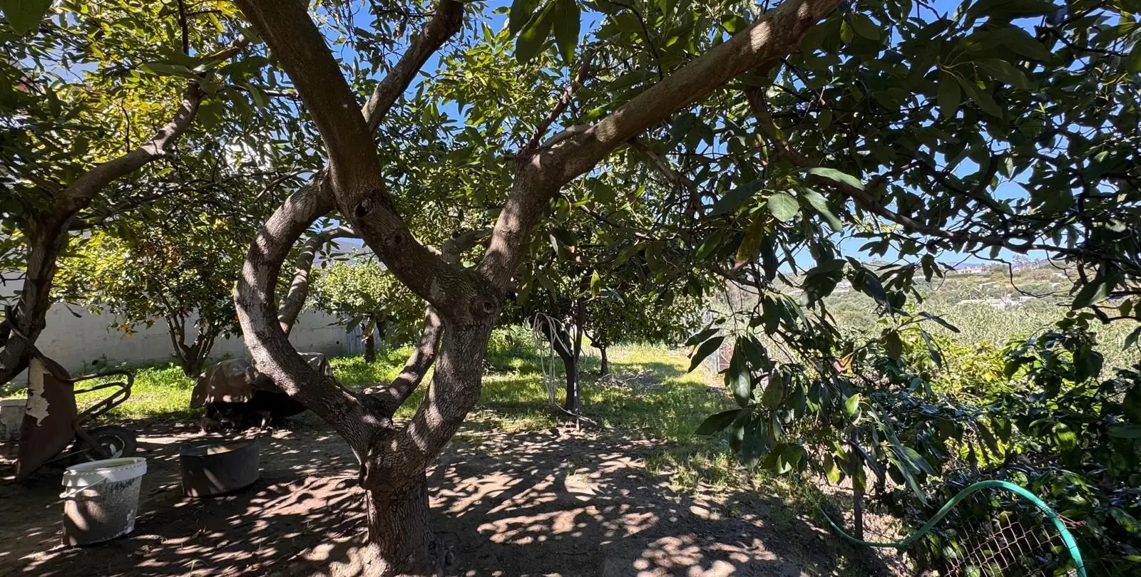 Sale of detached villa in Estepona 33