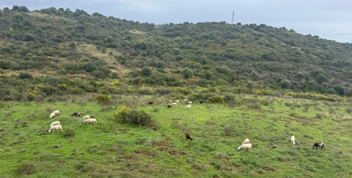 Продажа двухуровневого пентхауса в Estepona 35