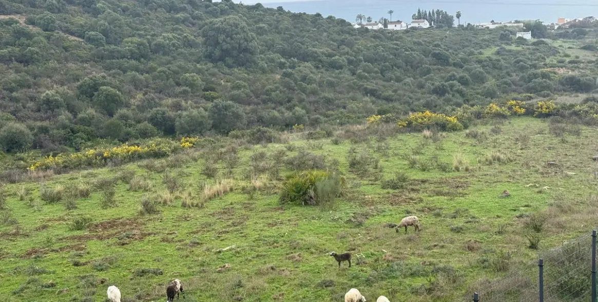 Продажа двухуровневого пентхауса в Estepona 36