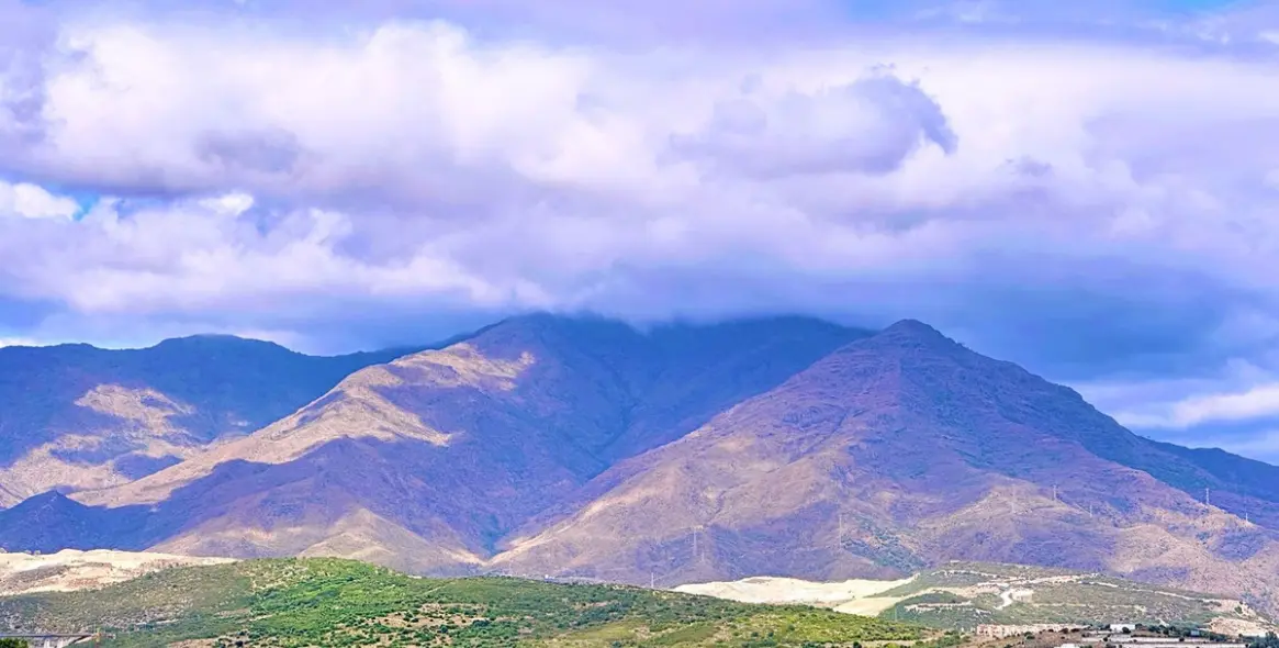 Sale of detached villa in Estepona 40