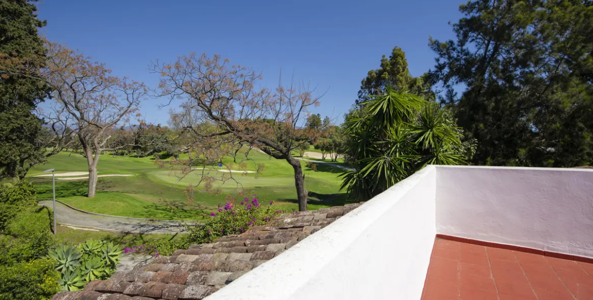 Sale of detached villa in Guadalmina Baja 25