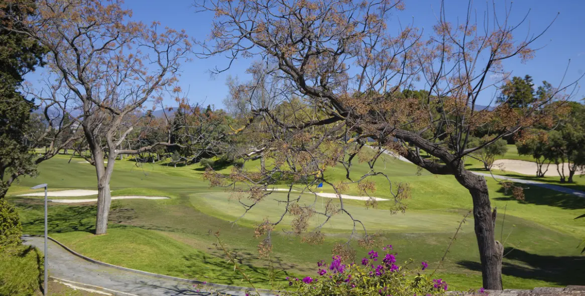 Sale of detached villa in Guadalmina Baja 33