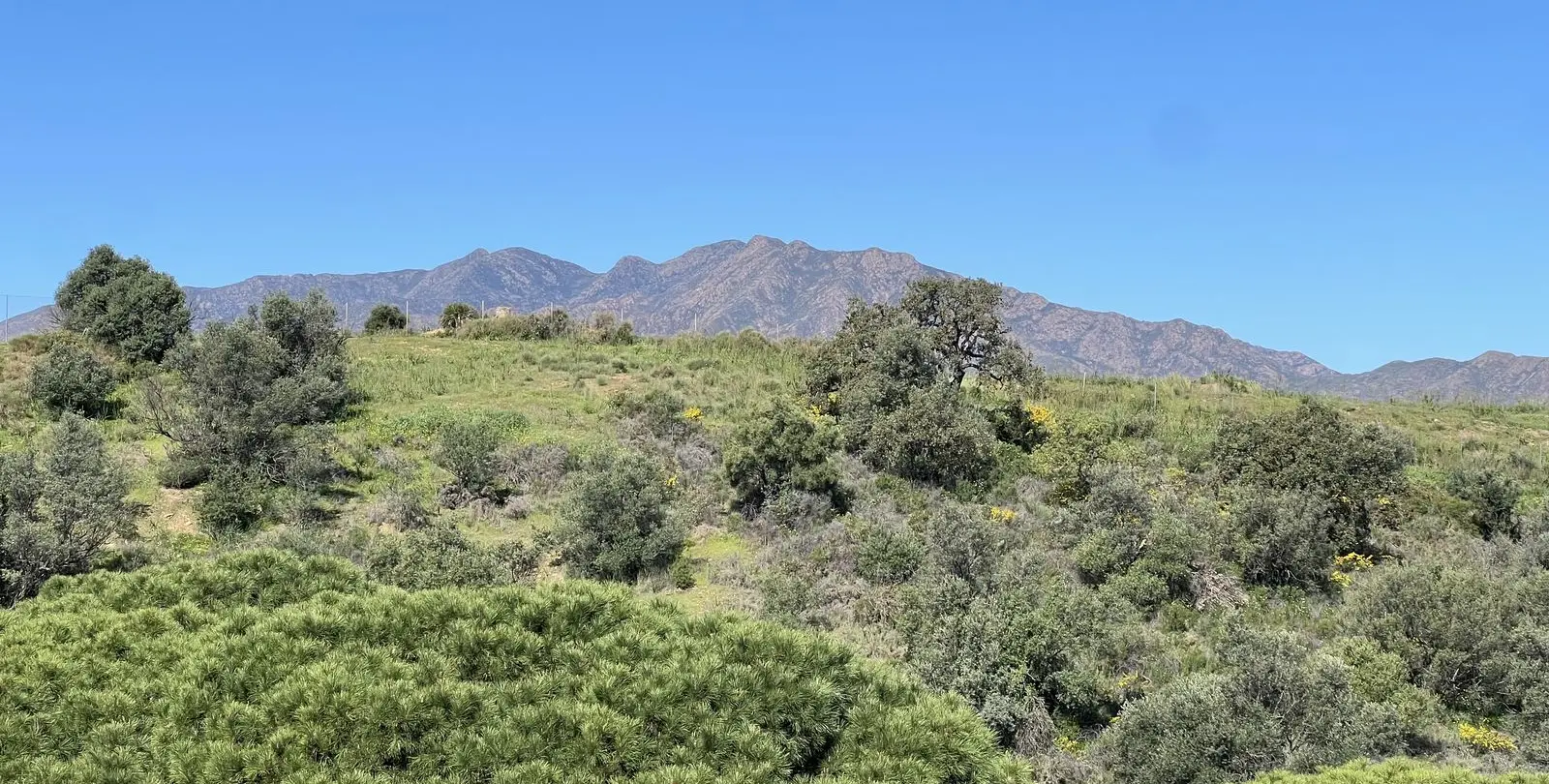 Sale of penthouse in La Cala Hills 29
