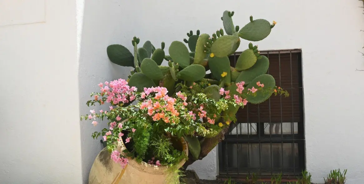 Sale of ground floor apartment in Nueva Andalucía 5