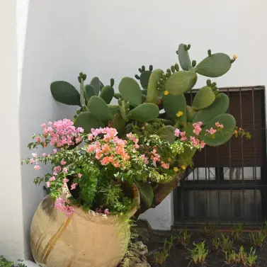 Sale of ground floor apartment in Nueva Andalucía