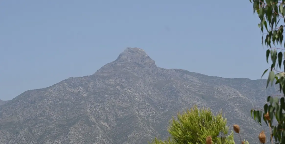 Sale of ground floor apartment in Nueva Andalucía 34