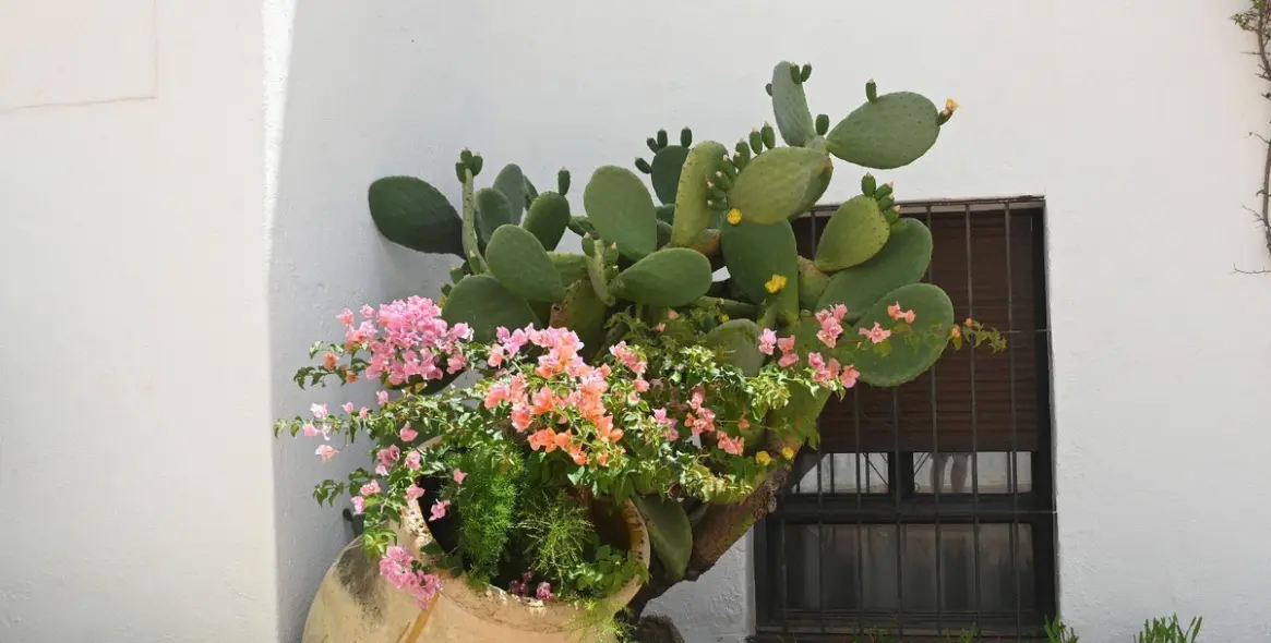 Sale of ground floor apartment in Nueva Andalucía 58