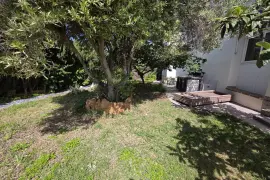 Image 1 thumb
