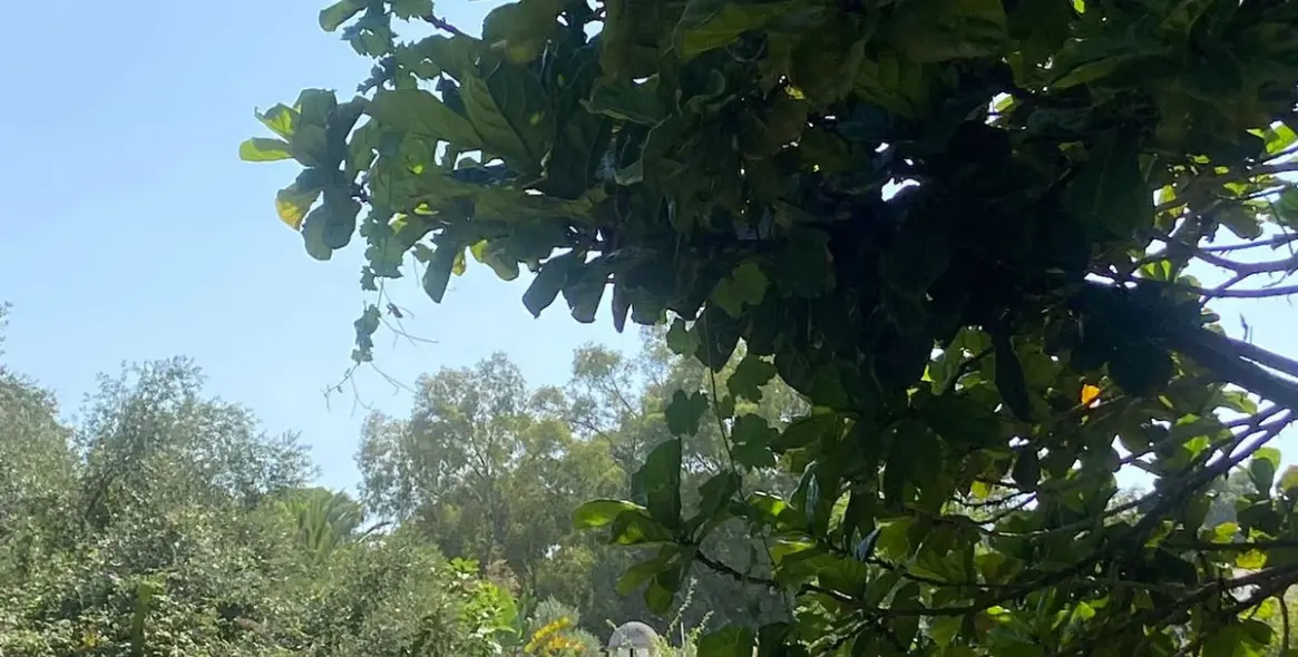 Venta de villa independiente en Calahonda 4