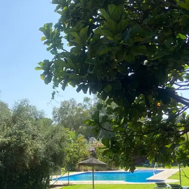 Venta de villa independiente en Calahonda