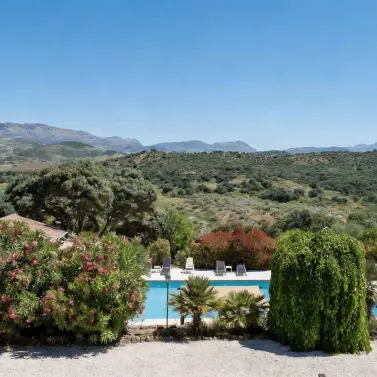 Venta de bed & breakfast en Almogía