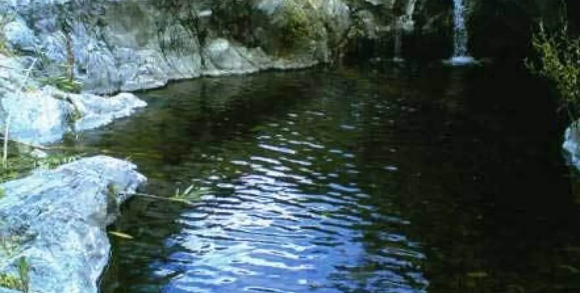 Venta de finca - cortijo en Estepona 1