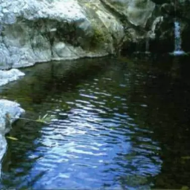 Venta de finca - cortijo en Estepona