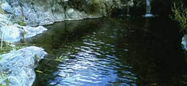 Venta de finca - cortijo en Estepona 0