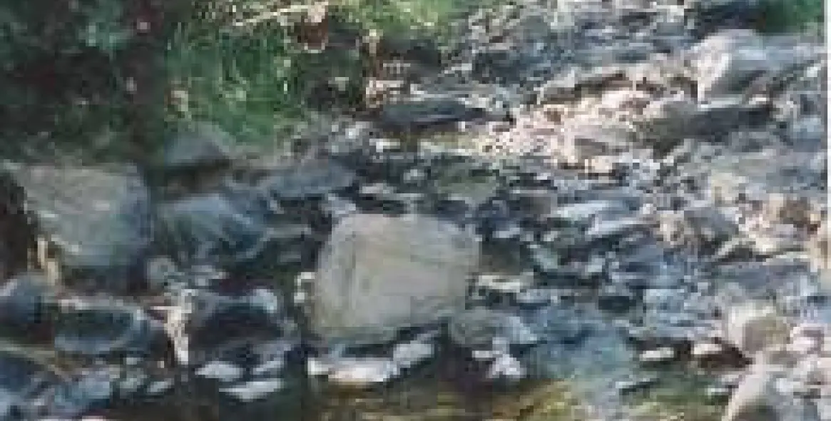 Venta de finca - cortijo en Estepona 8