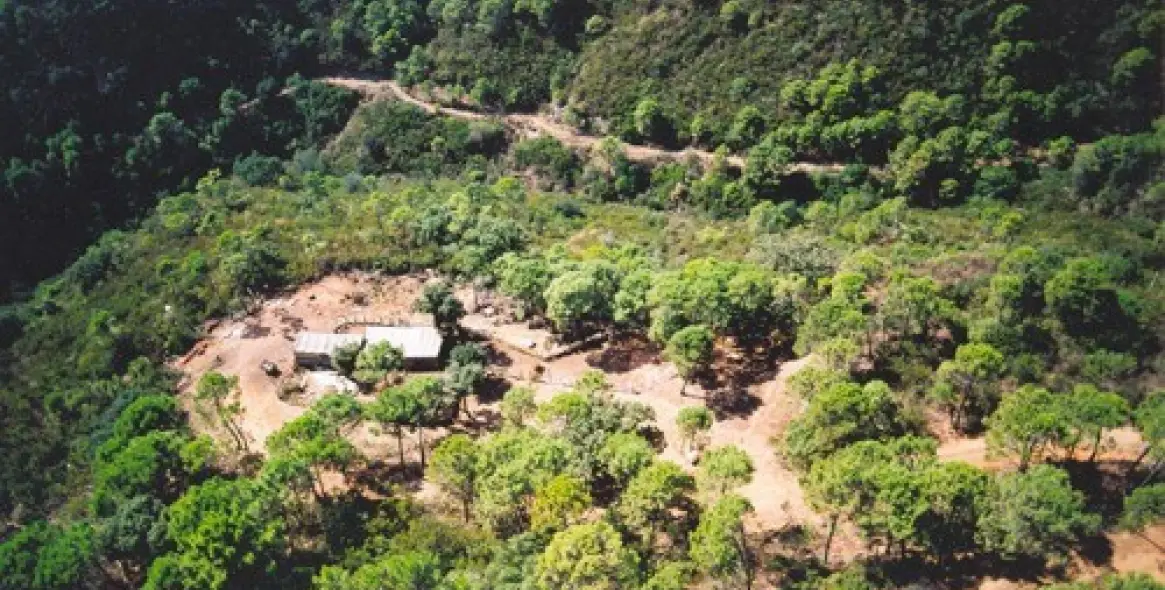 Venta de finca - cortijo en Estepona 9