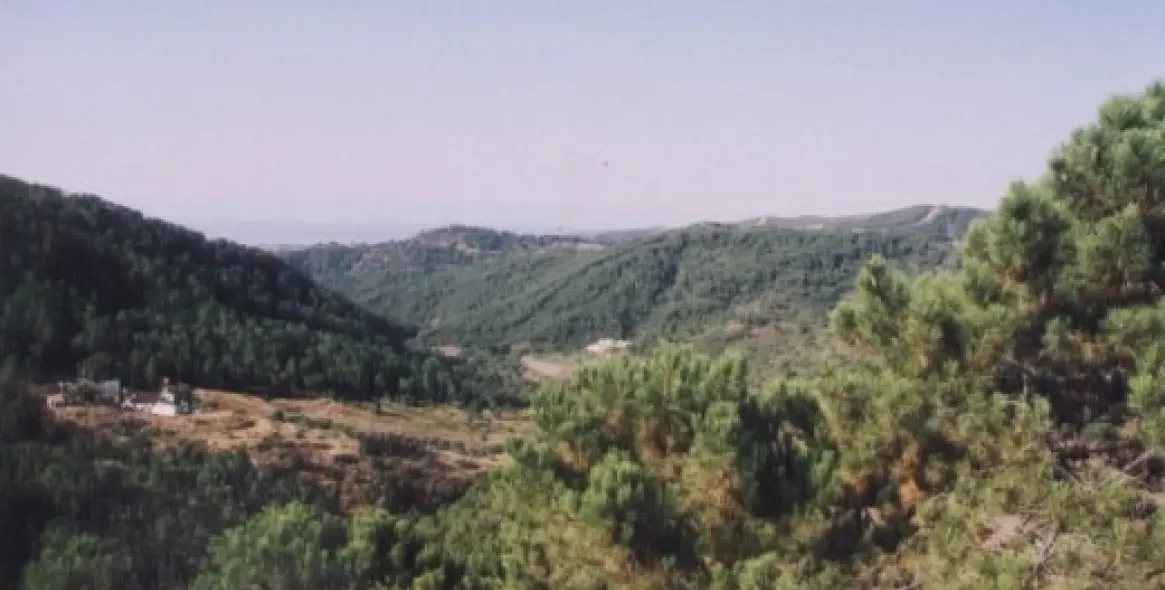 Venta de finca - cortijo en Estepona 10