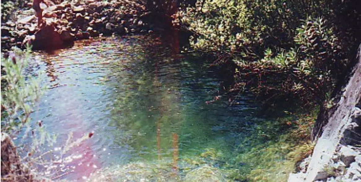 Venta de finca - cortijo en Estepona 12