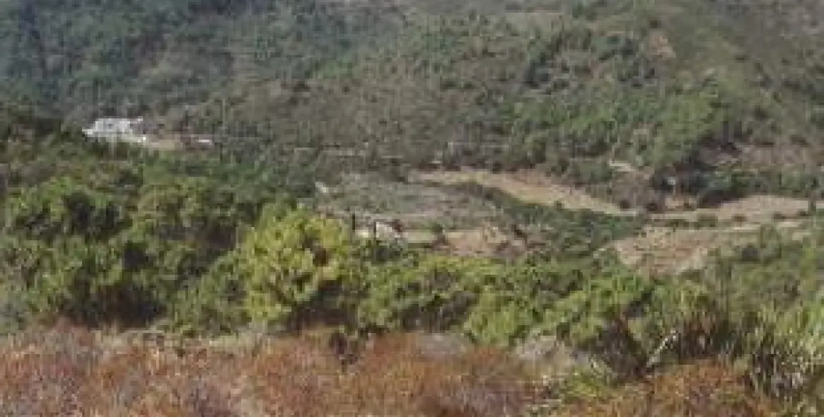 Venta de finca - cortijo en Estepona 15