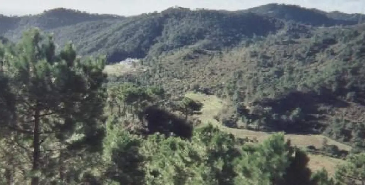 Venta de finca - cortijo en Estepona 18