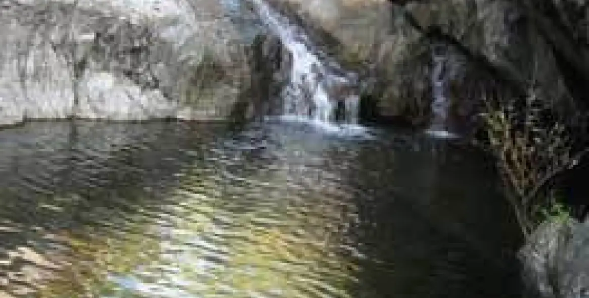 Venta de finca - cortijo en Estepona 20