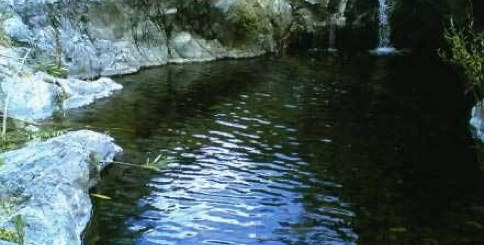 Продажа финки в Estepona 1